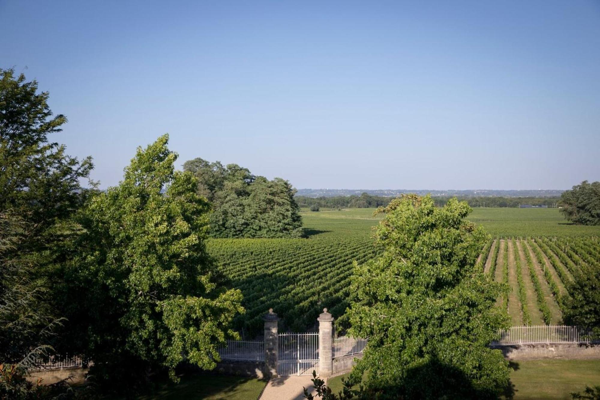 Chateau Malescasse Lamarque Exteriör bild